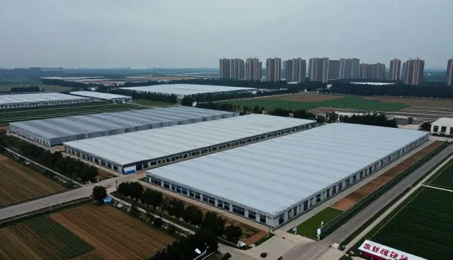 如何通过性能优化提升转化率